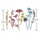 Fustella Sizzix Thinlits T. Holtz - Wildflowers