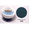 Silk Microfine Glitter - Regal Green