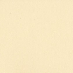 Cartoncino Bazzill Smoothies - Pigment