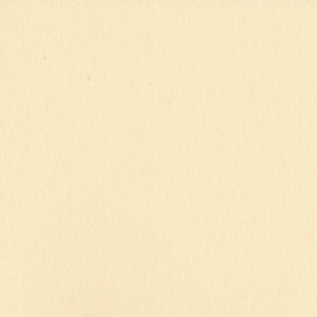 Cartoncino Bazzill Smoothies - Pigment