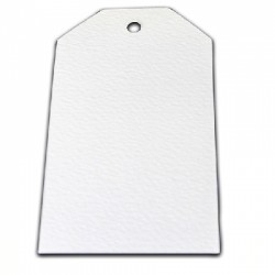 Kit 10 TAGS Stix2 - Large White Alteration Tag
