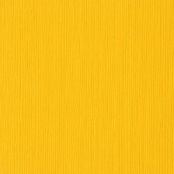 Cartoncino Bazzill Fourz - Desert Marigold