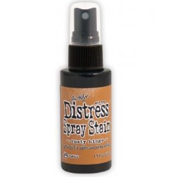 Distress Stain Spray  - Colori - Rusty Hinge
