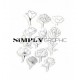 Simply Graphic - Timbri Clear - Assortiment De Fleurs