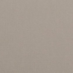 Vaessen Creative - Cartoncino 12x12"- Rhino