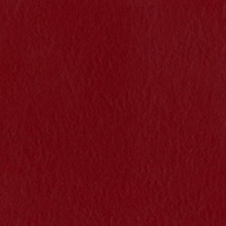 Cartoncino bazzill mono - Blush red dark