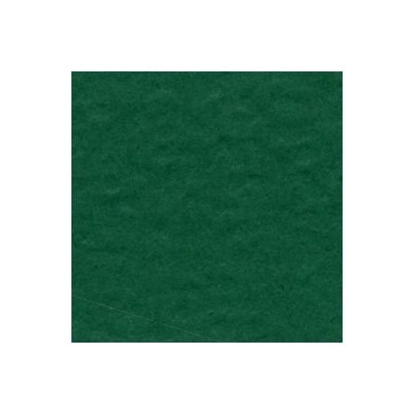 Cartoncino bazzill Orange Peel - Classio Green