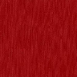 Bazzill - Cartoncino Fourz 12x12" - Red Devil