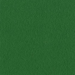 Cartoncino bazzill mono - Bazzill green