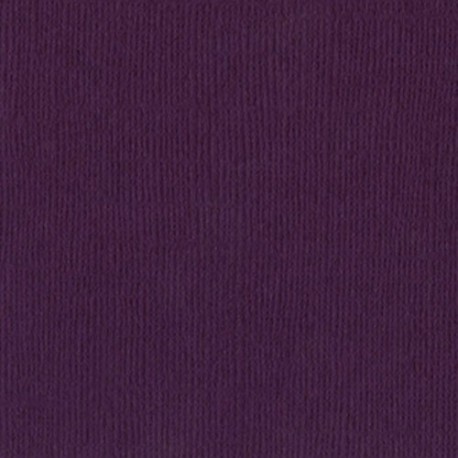 Cartoncino bazzill mono - Velvet