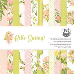 P13 - Pad Hello Spring - 6x6"