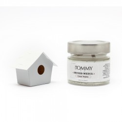 GESSO NEUTRO  80 ml - SPECIALTY PRODUCT -  Tommy Art 