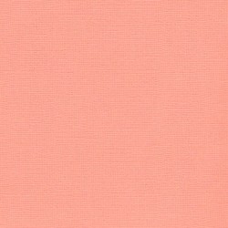 ScrapBerry's - 12x12 - PEACH (dirty pink)