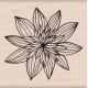 Timbro legno Hero Arts - Night Flower