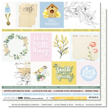 Les Ateliers de Karine -Little things- foglio nr. 1  12x12" - KAC33-01