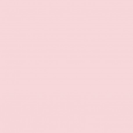 Cartoncino bazzill mono - PINK CLOUD - 372399