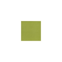 Foglio adesivo Silhouette cardstock - Leaf green