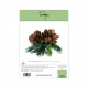 TOMMY - Fustella - PINECONE BOUQUET® - TDC0095