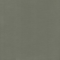 ScrapBerry's - 12"x12" - GRAY - SCB172100