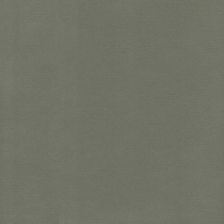 ScrapBerry's - 12"x12" - GRAY - SCB172100