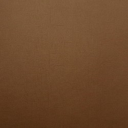 ScrapBerry's - 12"x12" - BROWN - SCB172092