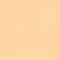 ScrapBerry's - 12"x12" - LIGHT PEACH - SCB172006