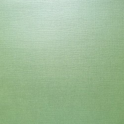 ScrapBerry's - TEXTURED PEARL - 12"x12" - CELADON - SCB180018