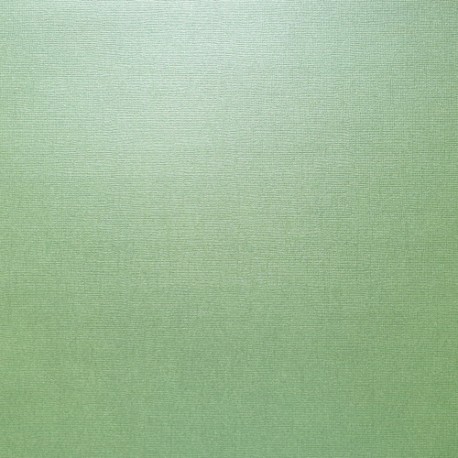 ScrapBerry's - TEXTURED PEARL - 12"x12" - CELADON - SCB180018