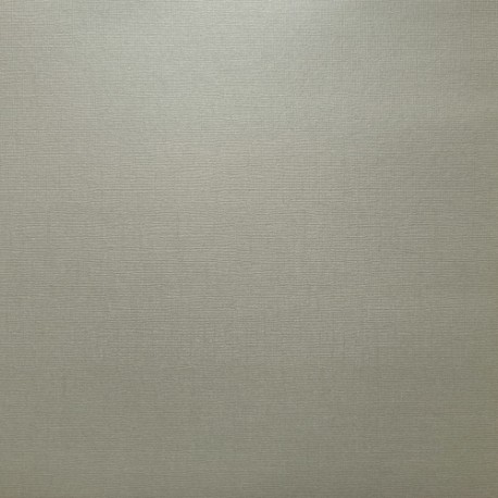 ScrapBerry's - TEXTURED PEARL - 12"x12" - BEIGE-GREY - SCB180022