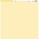 Florilèges Design - Carte FARANDOLE - DUO  JONQUILLE - FDPU225001