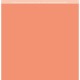 Florilèges Design - Carte FARANDOLE - DUO CORAIL - FDPU225003