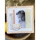 Florilèges Design - Carte FARANDOLE - N°4 -  FDPI225004