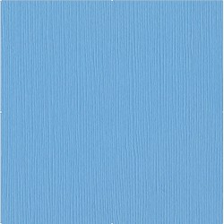 Bazzill Fourz - Cartoncino  - VIBRANT BLUE - 7-797