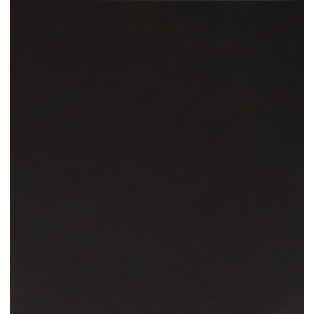 Cartoncino bazzill liscio- LICORICE TWIST - 10-1084