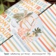 TOMMY - Bundle Super Tropical vibes – Bundle Tropical vibes + Bundle Basic die + Area riservata
