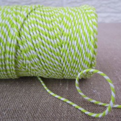 TWINE Everlasto - Spring Green